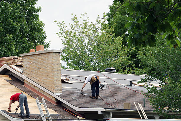 Best Storm Damage Roof Repair  in Cleveland, TN